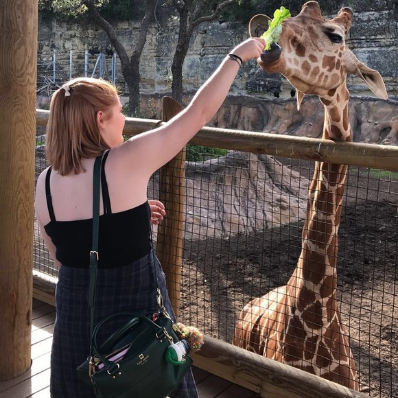 Meet your Posher, Dharma - Picture 5 of 10